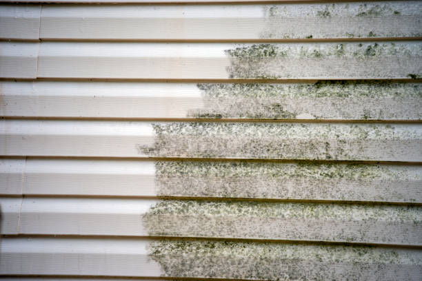 Best Fiber Cement Siding Installation  in Reading, MI