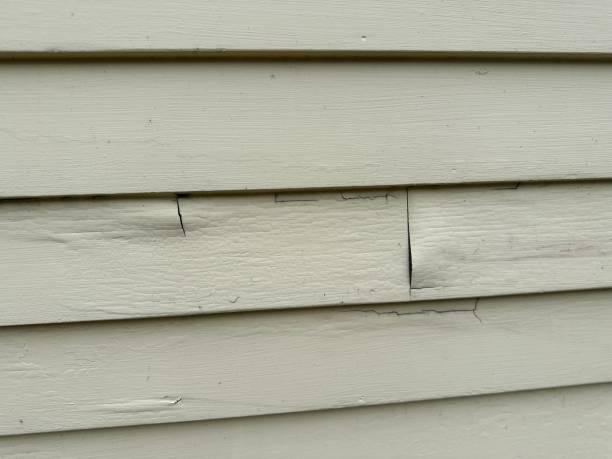 Affordable siding repair and maintenance services in Reading, MI